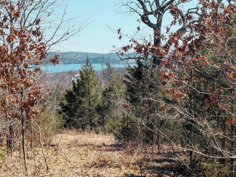 Lake Fiew from Future Trail